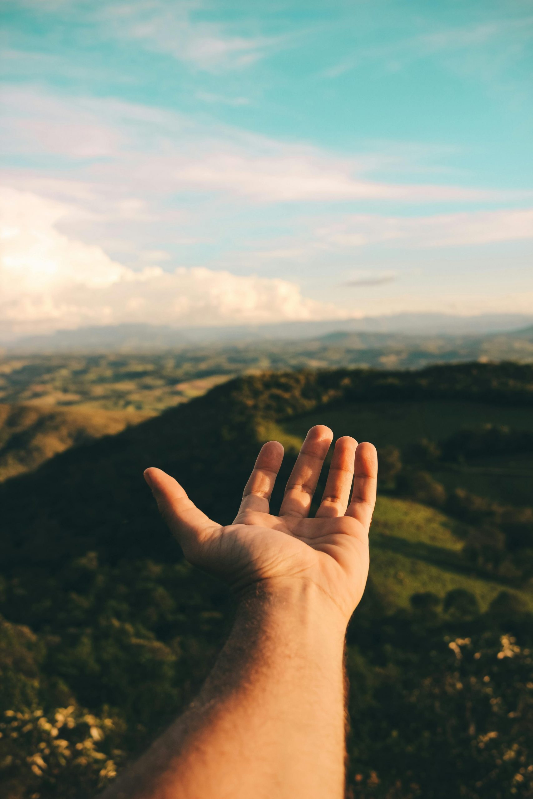 pexels-victorfreitas-772662